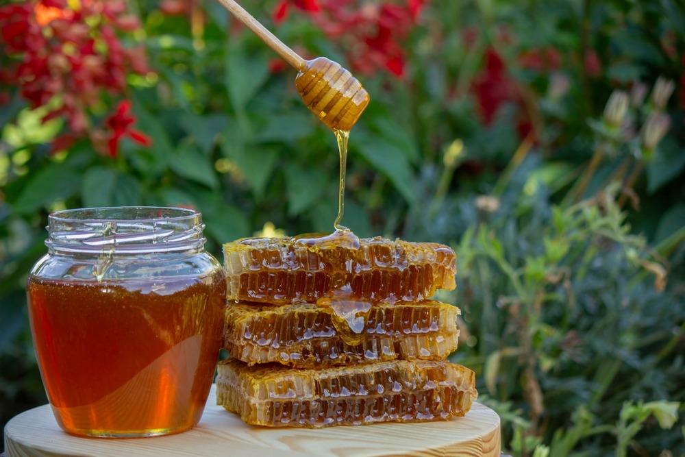 الفرق بين العسل الطبيعي والمغشوش