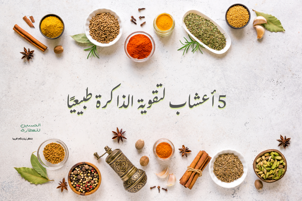 5 أعشاب لتقوية الذاكرة طبيعيًا