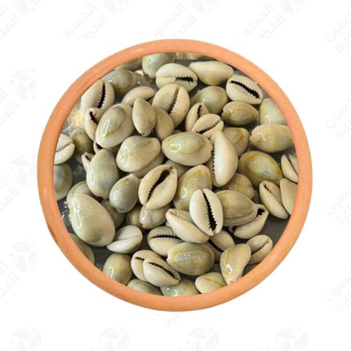 صدف حب كبير 200 جرام
