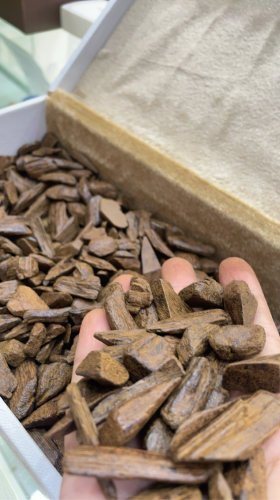 دقة مروكي النخبة