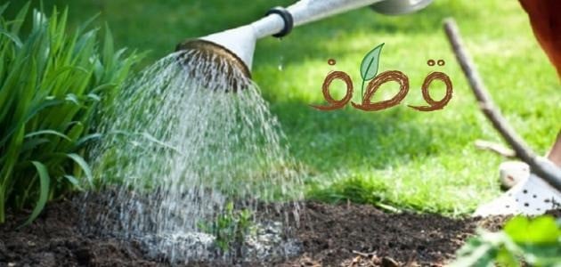 كل ما تحتاج لمعرفته حول المرشات الحديثة