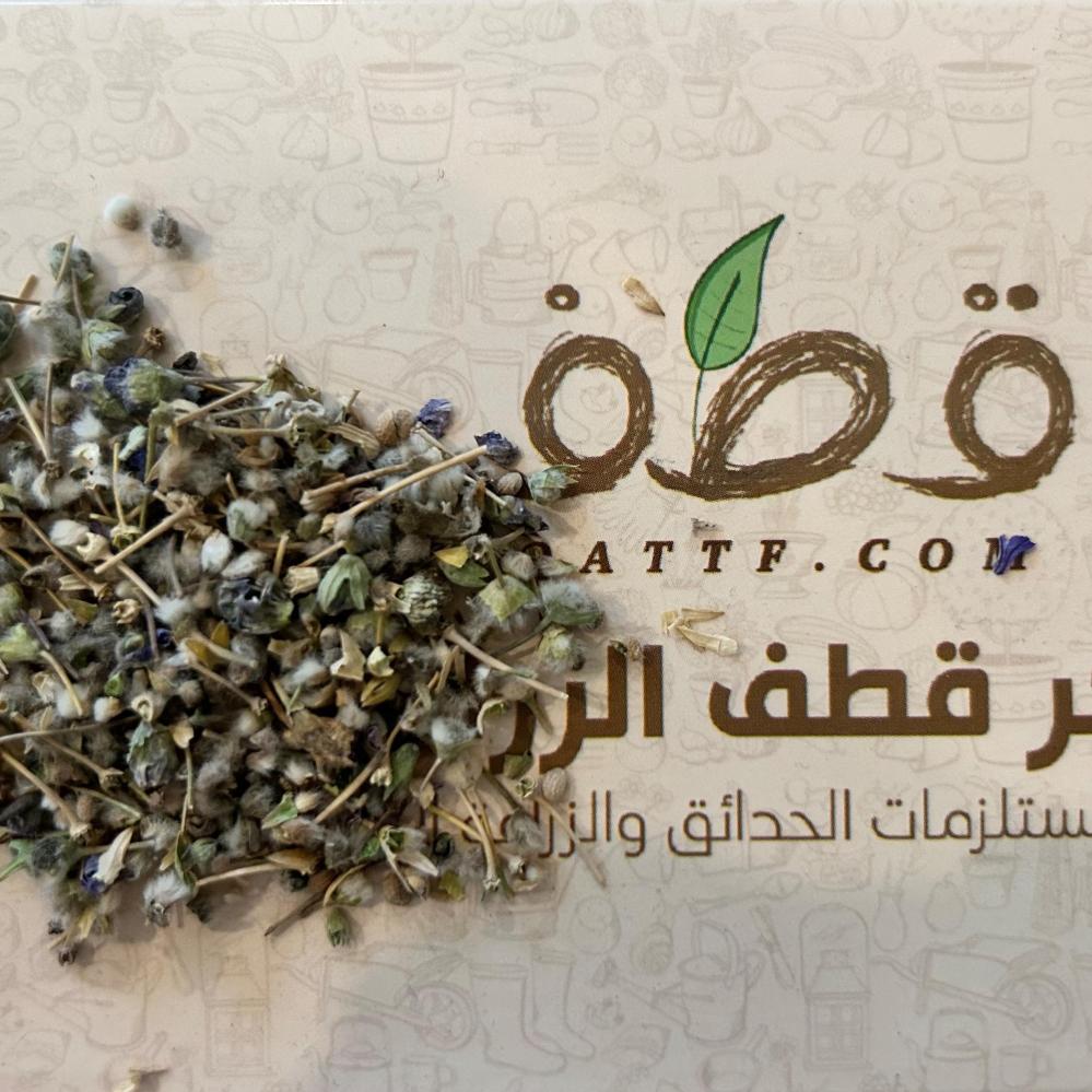 جملة 500 بذرة من بذور العهينة البرية