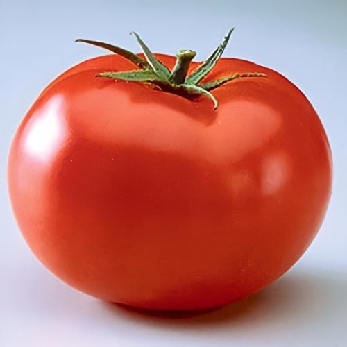 بذور الطماطم الكاريبي الكبير