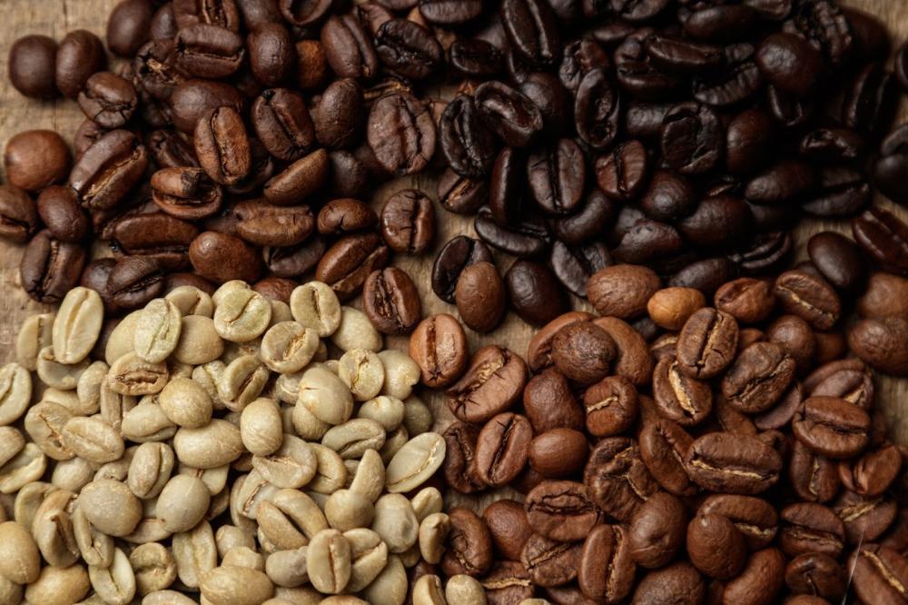 رحلة للتعرف على حبوب قهوة مختلفة