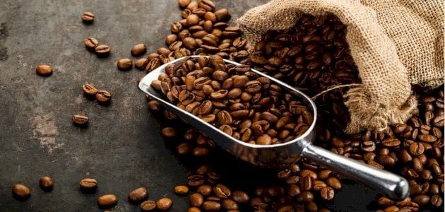 كيفية اختيار أفضل حبوب القهوة وطرق تحضيرها المثلى