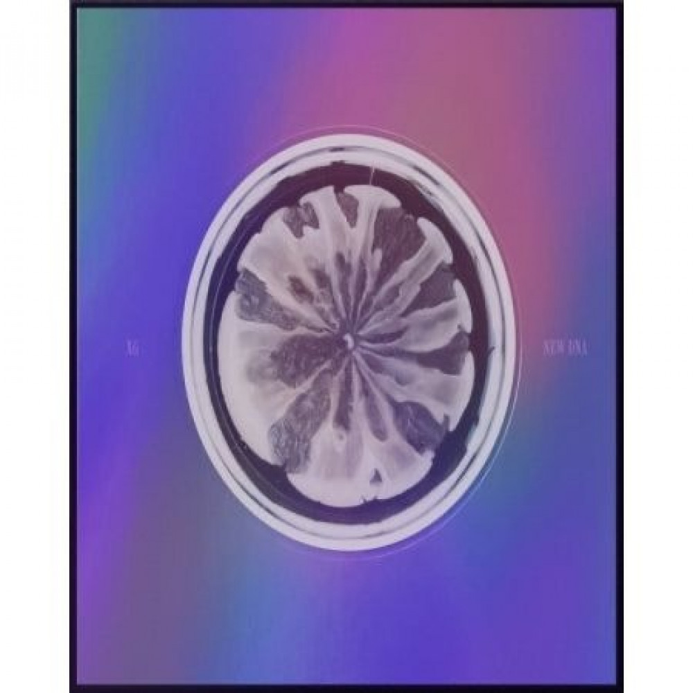 XG 1st Mini Album - NEW DNA (X Ver.) CD