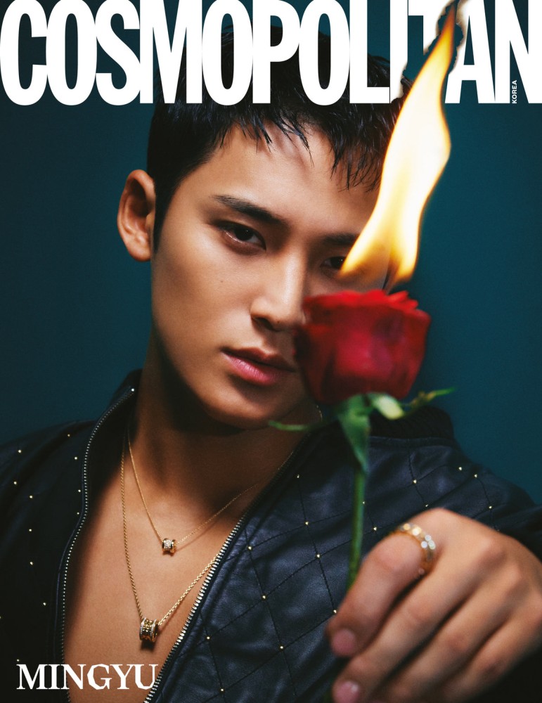 Magazine COSMOPOLITAN 2023-12 Type.D SEVENTEEN
