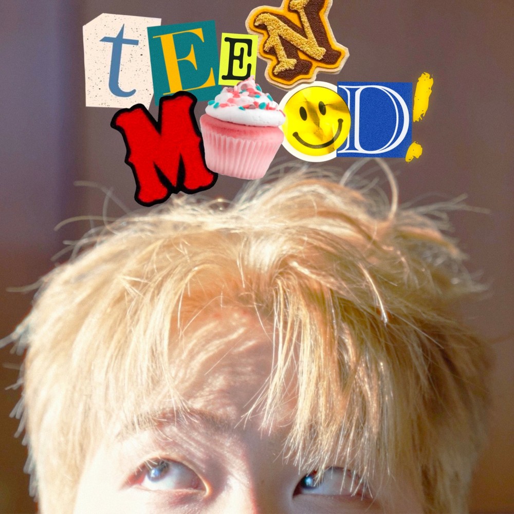 TIMID MOOD Mini Album - TEEN MOOD CD