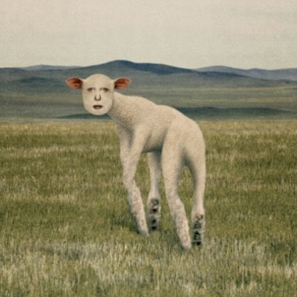 THORNAPPLE EP Album – Animal