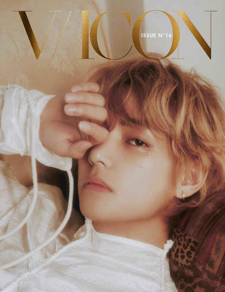 Magazine DICON ISSUE N°16 V : VICON Type.C
