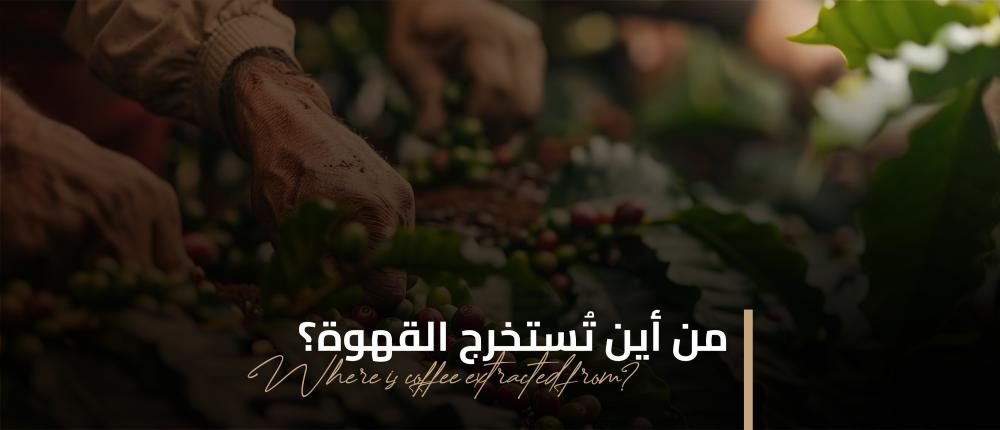 من أين تستخرج القهوة