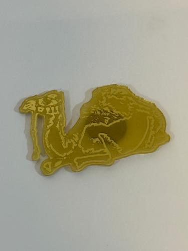 بروشيه الجمل العربي