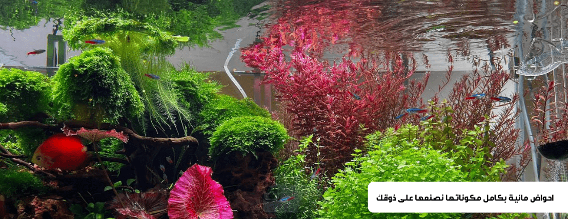 Aqua Art image-slider-0