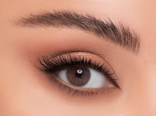 عدسات ليندا  تازانيت