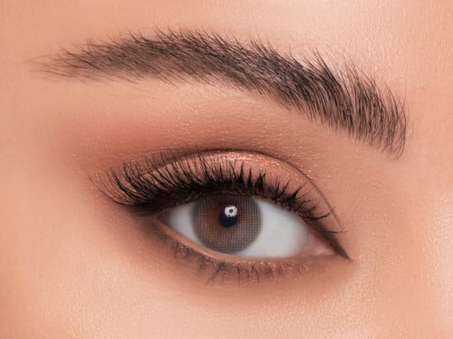 عدسات ليندا اقيت