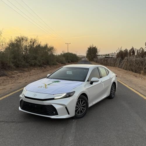 علم كبوت - سيفين و نخله