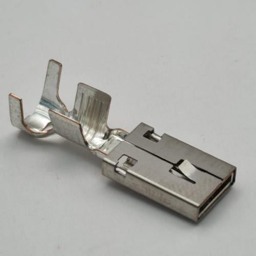 بنات أفياش دلفي 55 امبير و فيش بور كمبيوتر هولي