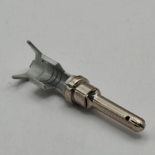 بن فيش دويتش دي تي بي 2.5-4 ملي ذكر (14-12 قيج)