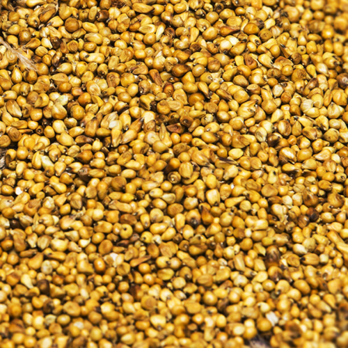 دخن بلدي (1 كيلو)