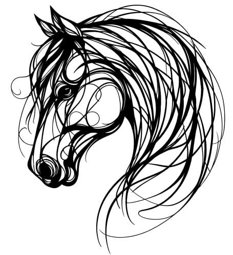 استينسل ( خيل ) 15