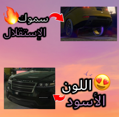 اللون الأسود المهكر للكلان + سموك الإستقلال