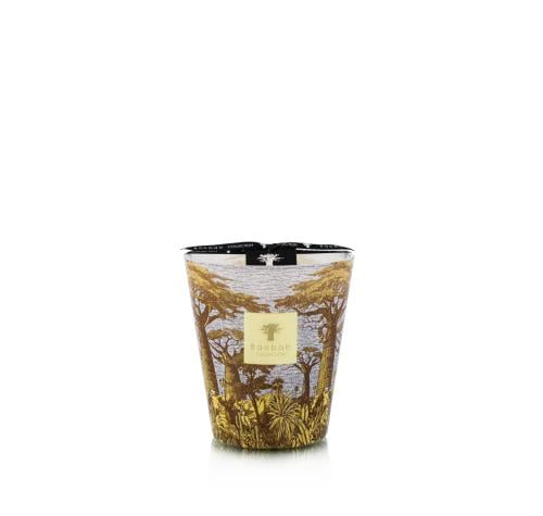 شمعة بوباب أشجار مقدسة كوكودي - MAX 16