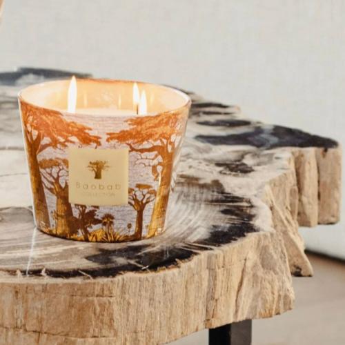 شمعة بوباب أشجار مقدسة كوكودي - MAX 10