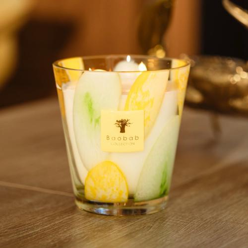 شمعة بوباب ريفييرا سانتو سوسبير  MAX 16