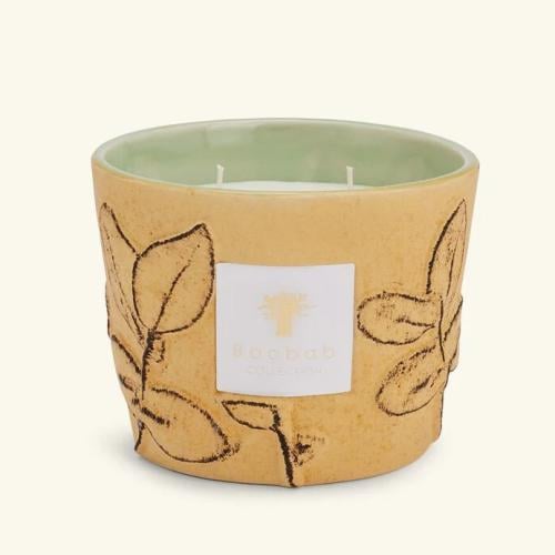 شمعة بوباب معطرة فوليا غاريغ - MAX 10