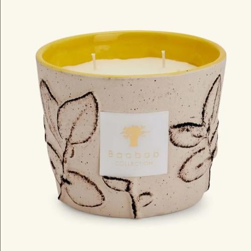 شمعة بوباب فوليا كالانك - MAX 10