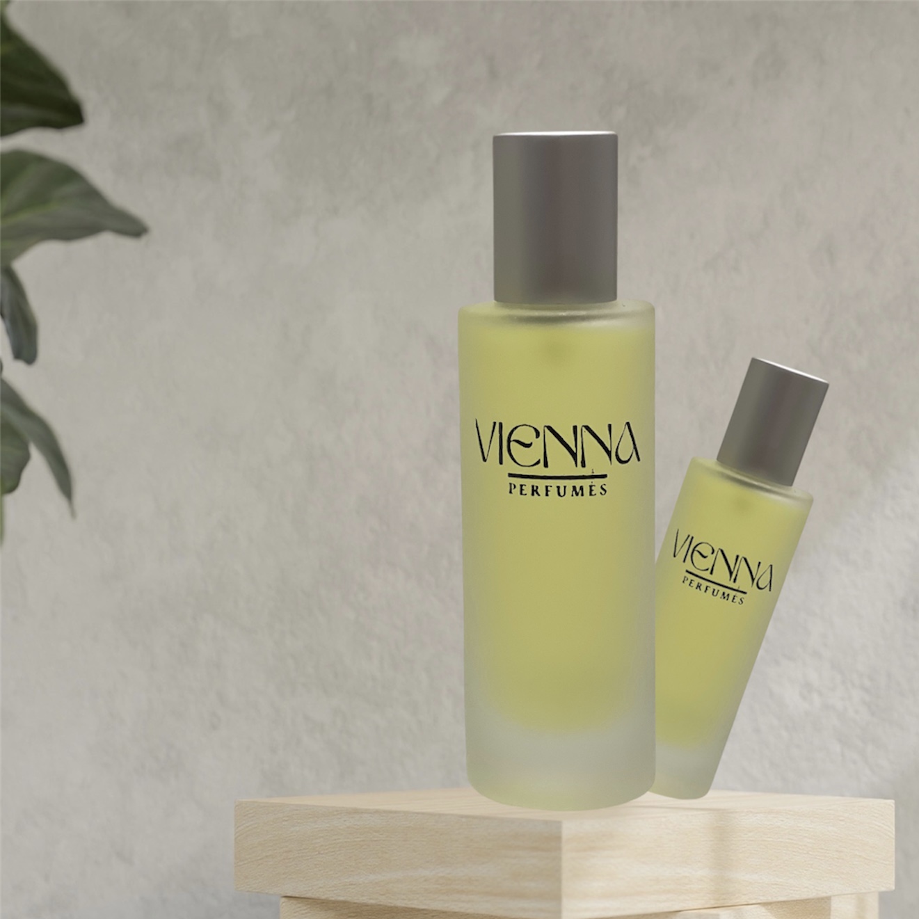 عطور ڤينا