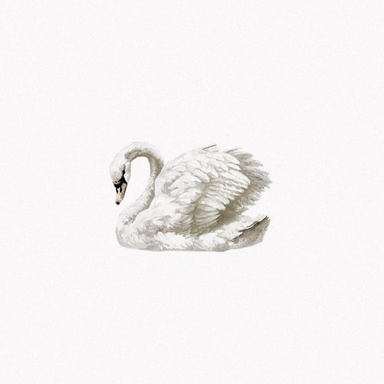 store avatar
