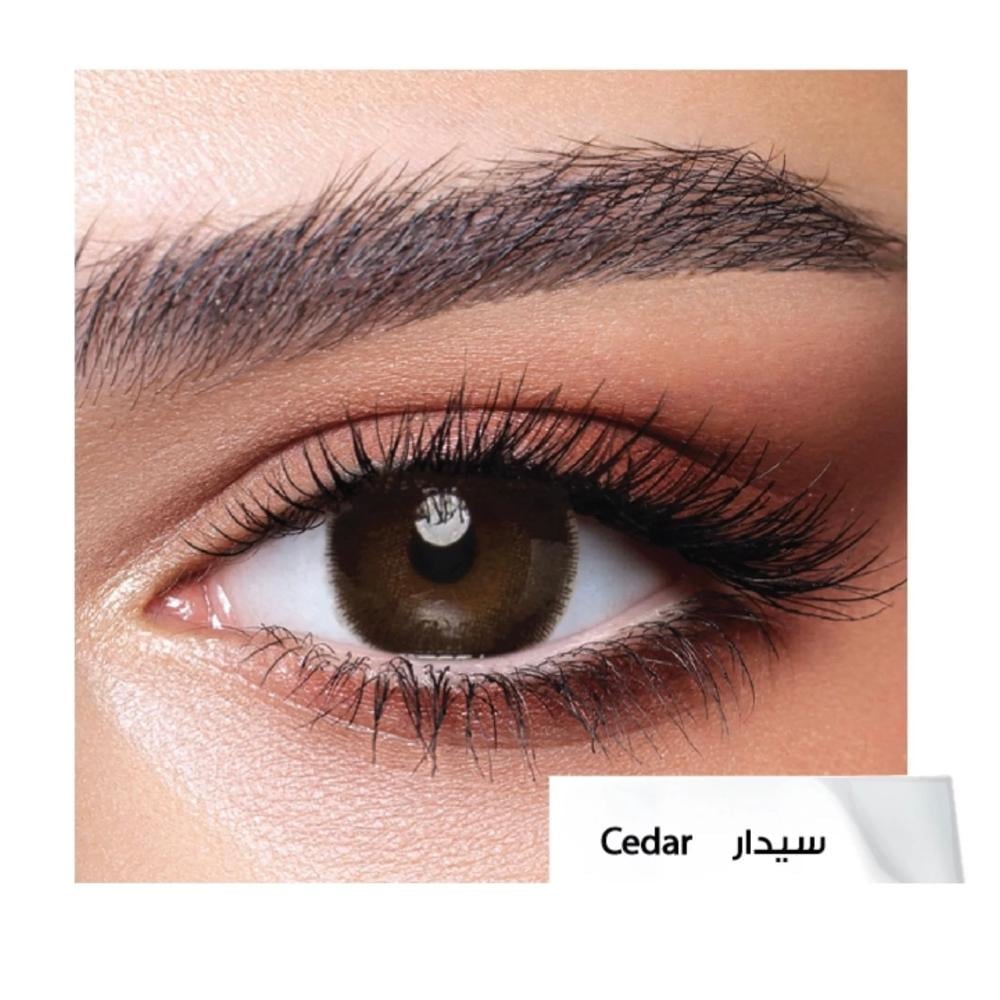 عدسات بيلا اليومية سيدار Bella Cedar