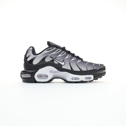 Nike Air Max Plus Black White Metallic Silver