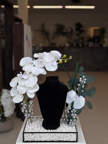 ستاند بالورد