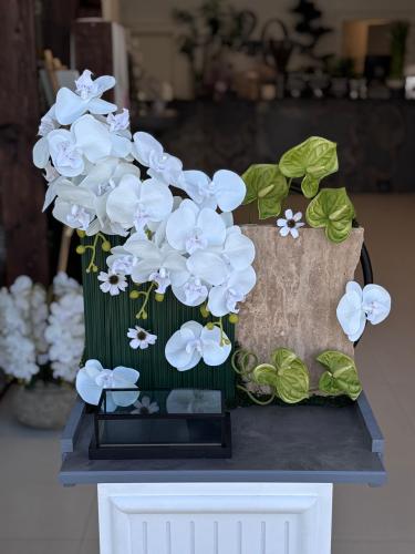 ستاند بالورد