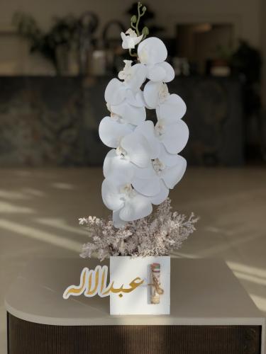 بوكس اكريلك