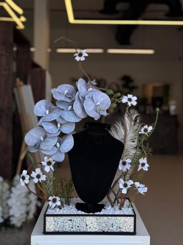 ستاند بالورد