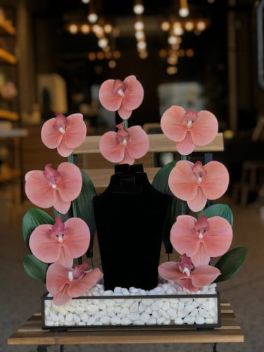 ستاند بالورد