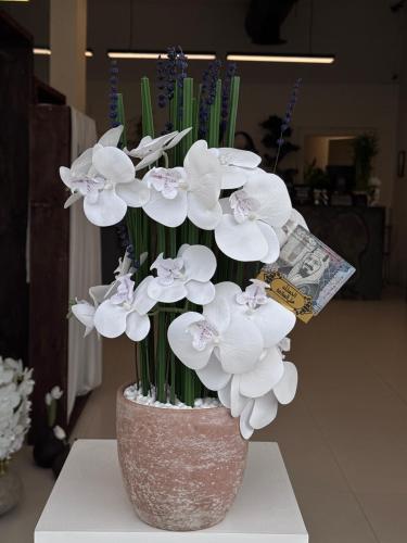 فازة والورد