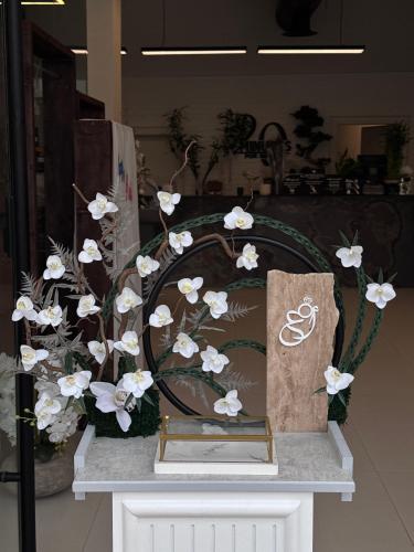 ستاند بالورد