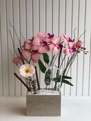 ستاند بالورد