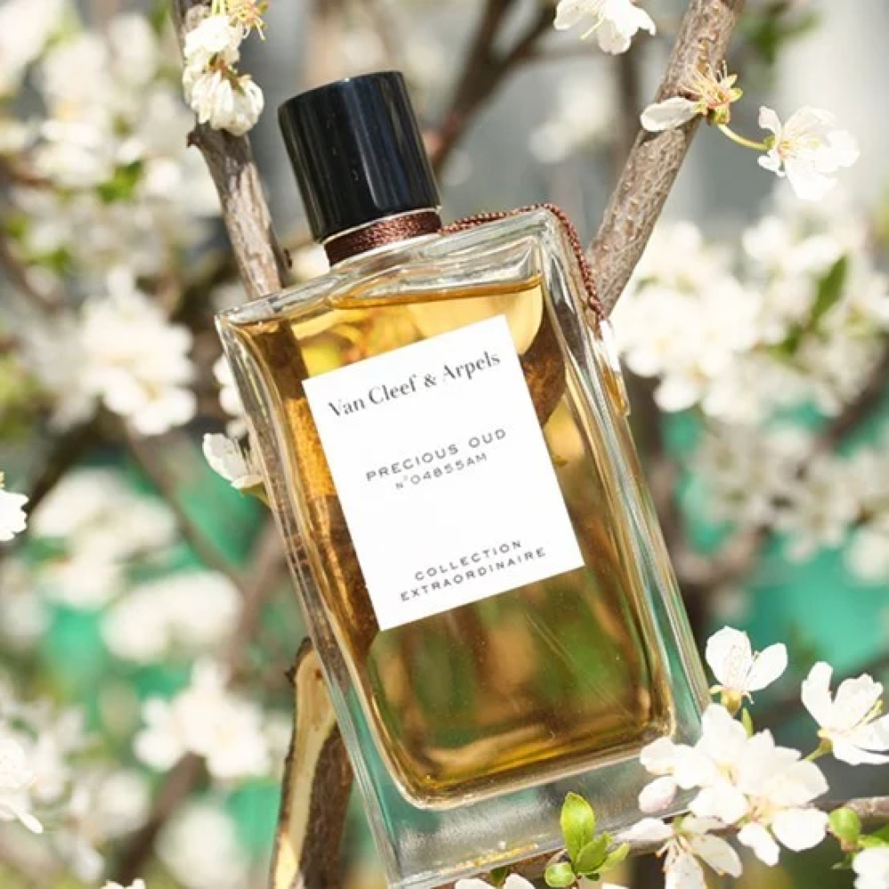 عطر بريسيوس عود من فان كليف اند اربلز للنساء - او دو بارفيوم - 75مل