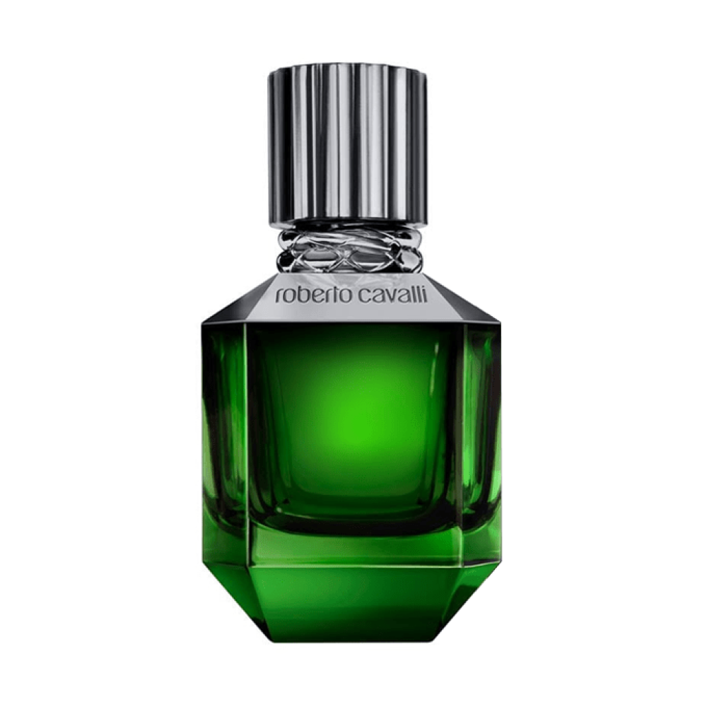 عطر باراديسو فاوند من روبرتو كفالي للرجال - اي دي تواليت 50 ml