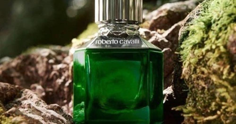 عطر باراديسو فاوند من روبرتو كفالي للرجال - اي دي تواليت 50 ml