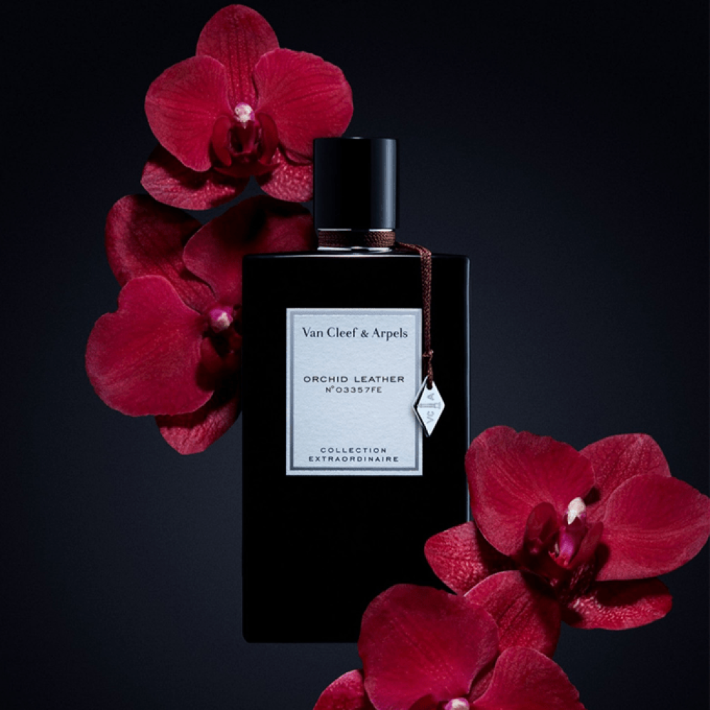 عطر فان كليف اوركيد ليذر او دو بارفيوم 75مل