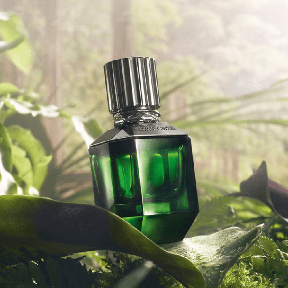 Roberto Cavalli Paradise found For Men EDT 50ml