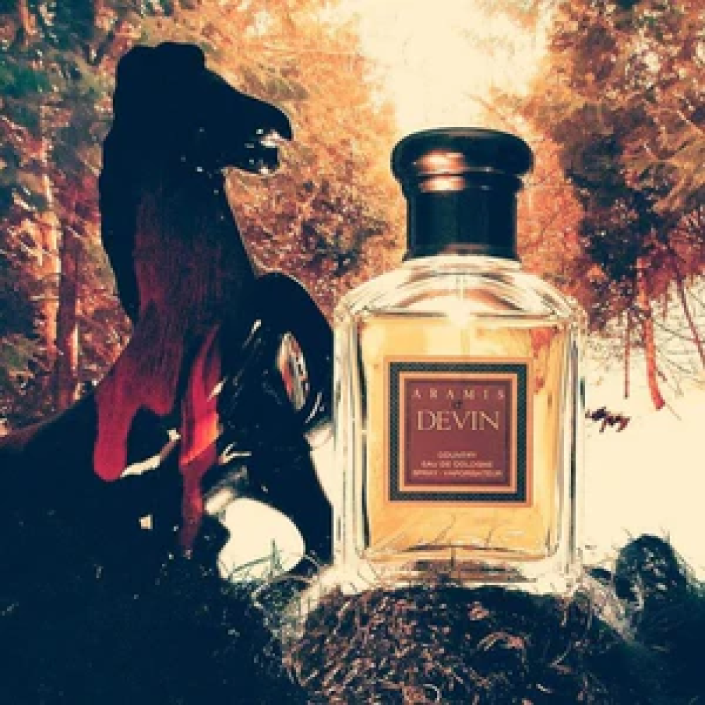 عطر اراميس ديفين او دو كولون رجالي - 100مل