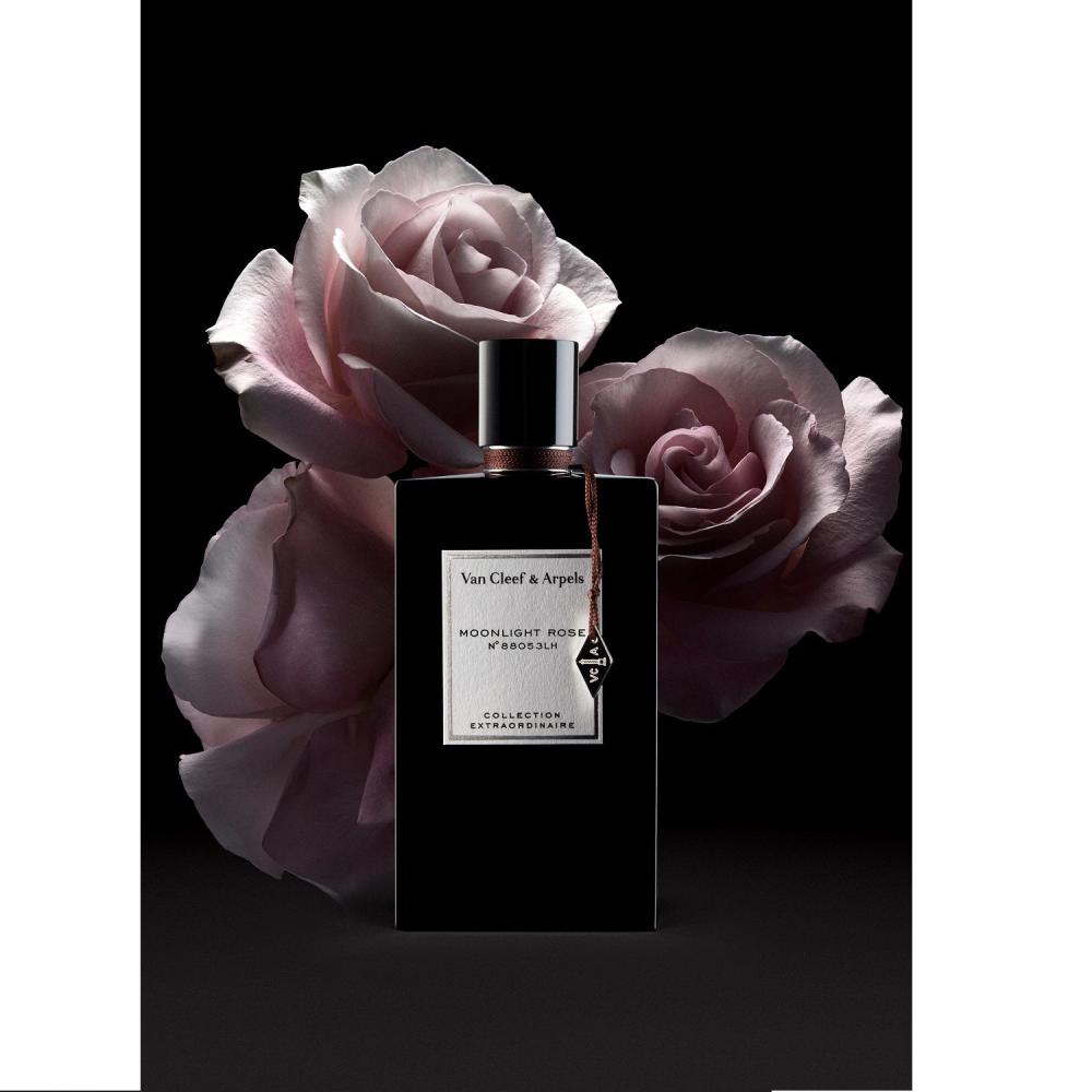 عطر فان كليف مون لايت روز او دو بارفيوم 75مل