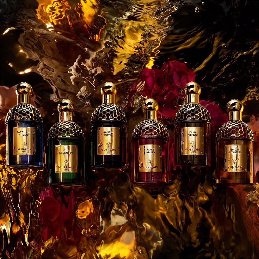 جيرلان ابسولو اليغوريا باتشولي اردنت او دو برفيوم 125 مل